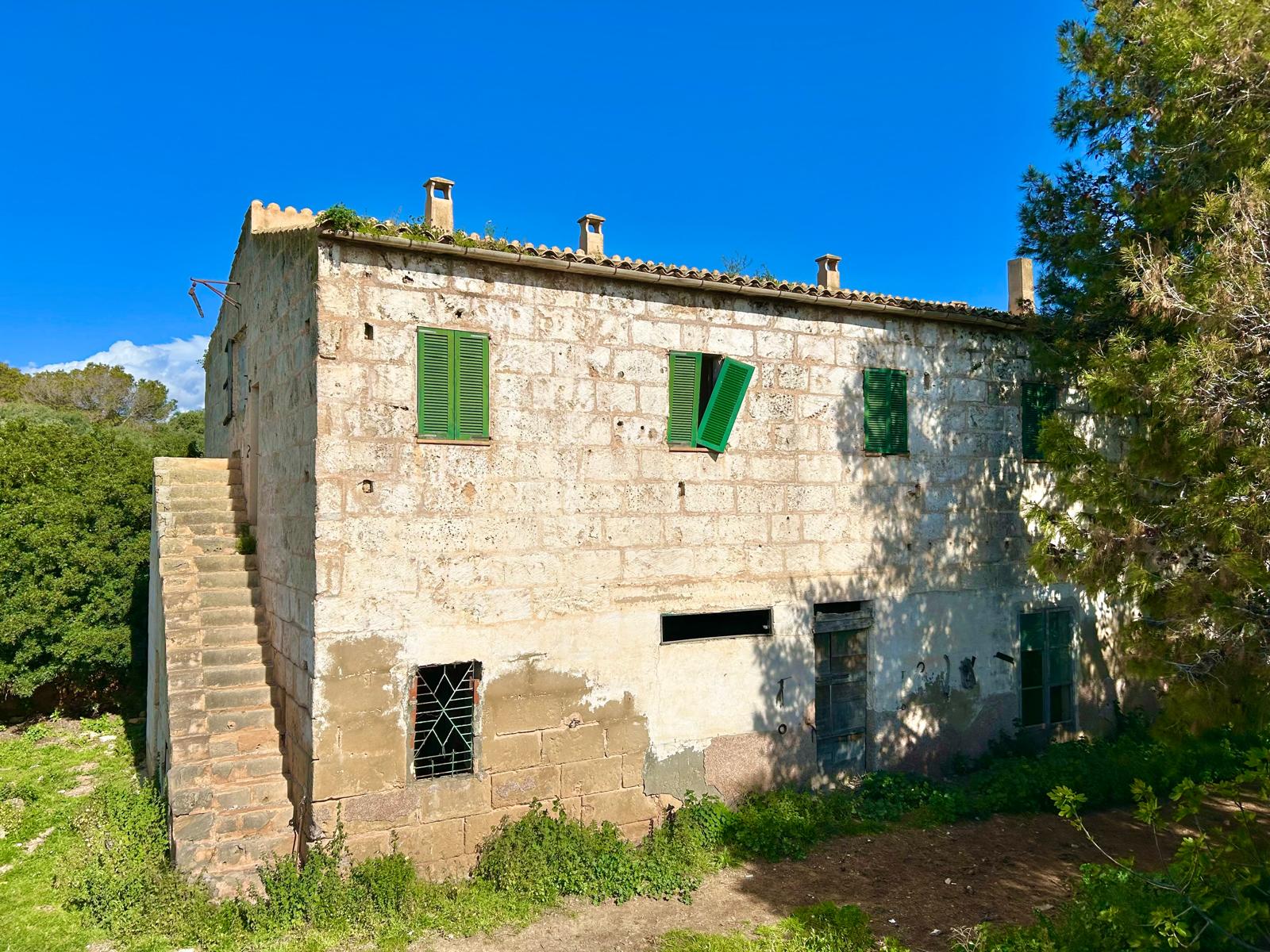 Miniatura